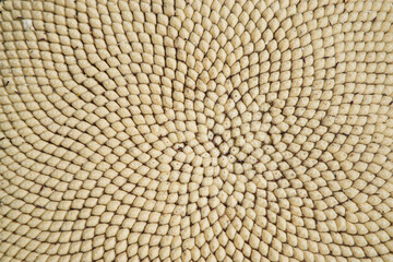 Struktur - Sonnenblumenkerne 