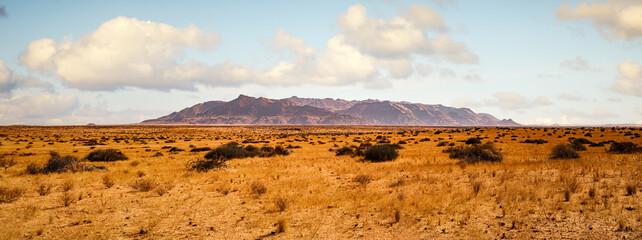 Brandberg Mountain, Erongo Region, Namibia. Located in the northwestern Namib Desert, on a flat...