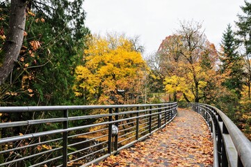 Bridge over Autumn creek