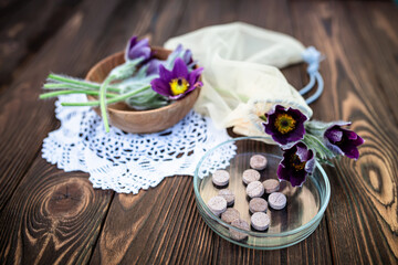 Eastern pasqueflower, cutleaf anemone, Pulsatilla patens in a wooden plate. Pills and spring flowers on a wooden background. Selective focus.