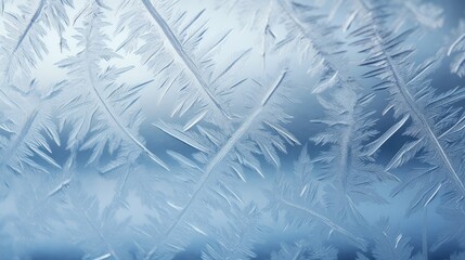  a close up of a frosted window with a blue sky in the background and a few white leaves on the outside of the window.