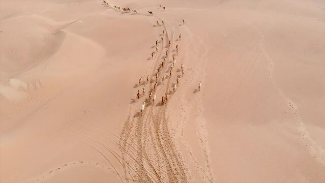 Aerial view of endless sandy desert and travelling camel caravan
