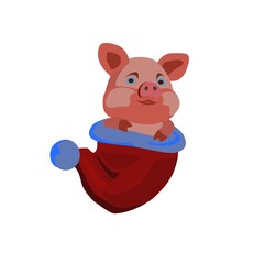 a pig in the bag