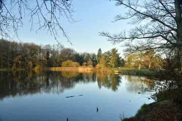 Lumière du coucher de soleil sur la végétation luxuriante au bout d'un des étangs du parc de Tervuren à l'est de Bruxelles 