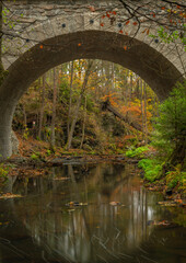 Fototapeta na wymiar Doubrava river with color rock with moss in autumn day near Bilek village