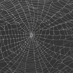 Naklejka premium Realistic cobweb