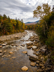 Stream in the fall 