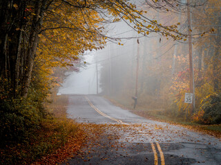 35 mph sign on a foggy, autumn road