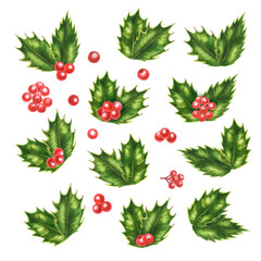 Christmas watercolor holly branches, leaves and berries for New Year illustration, invitations, post cards. banners and frames
