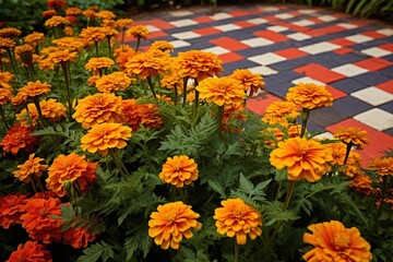 Checkerboard garden squares alternating marigolds and salvia