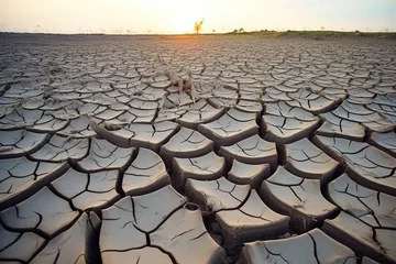 Tragetasche Cracked mud in a dried-up riverbed, emphasizing the drought effect © Dan