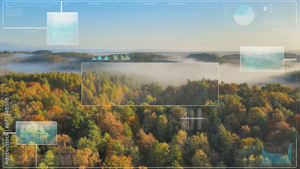 Wall mural digital hud for analyzing the nature of mixed forests. ecological scan, information about new plants