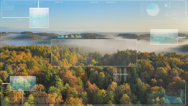 Digital HUD for analyzing the nature of mixed forests. Ecological scan, information about new plants