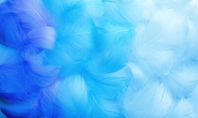 Fototapeta na wymiar Blue feather. Abstract textured background made of bird plumage. Blue fluffy bird feathers. Texture of delicate feathers