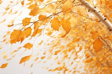 Cascade of golden leaves falling from a birch tree, caught in a gust of wind