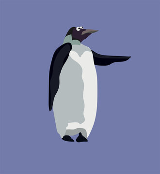 penguin on a blue background