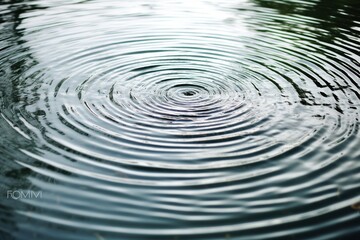 Fototapeta premium Circular ripples forming on a glassy lake after a single raindrop falls