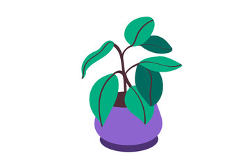 plant in a vase