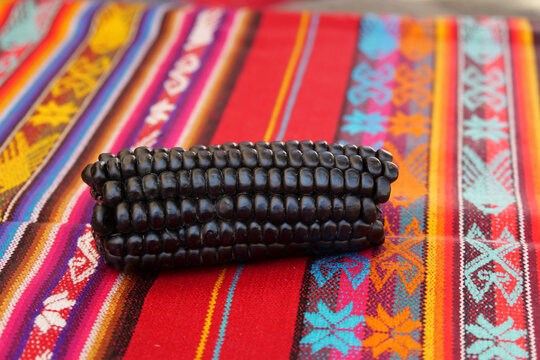 Close up of Maiz Morado, Purple Corn, Zea mays indurata, kʼculli or Black Aztec Corn on a traditional colourful red peruvian tablecloth
