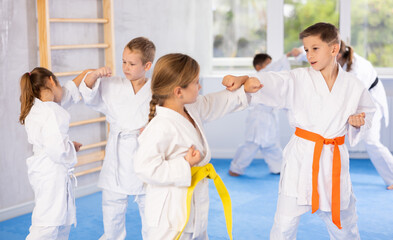 Fototapeta na wymiar Young karate students engage in sparring match, demonstrating their martial art skills.