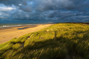 Sand dunes with beach and North Sea at sunset with dramatic storm clouds, Oostende, Flanders,...