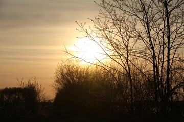 Obraz premium Beautiful view of the sunset from the field