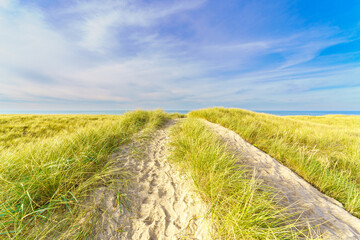 North Sea beach and dunes with beautiful blue sky in Denmark - obrazy, fototapety, plakaty