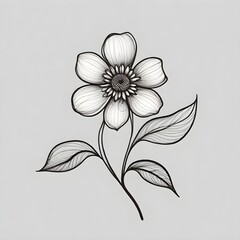 hand drawn flowers on a plain white background