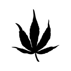 leaf vector illustration