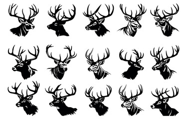 A deer with horns, a minimalist drawing of a bust, a vector set on a transparent background for a stencil