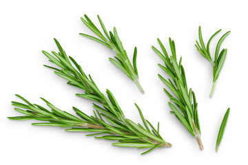 Rosemary twig and leaves isolated on white background. Top view. Flat lay