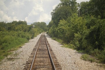 Shot of train rails lied through the forest and foliage