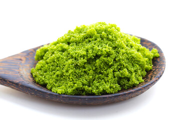 Wolffia globosa or swamp algae, water meal