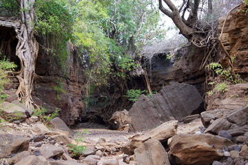 Thick brush and roots overhanging a boulder-strewn dry river in northern Tanzania