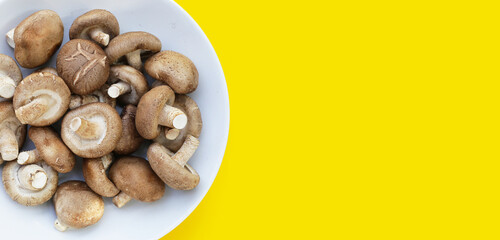 Fresh shiitake mushrooms on yellow background.