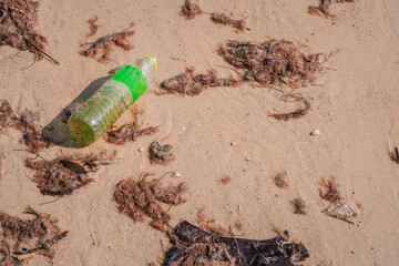 Small plastic bottle lays on shoreline together with seaweed. Sea, ocean pollution. Close up photo