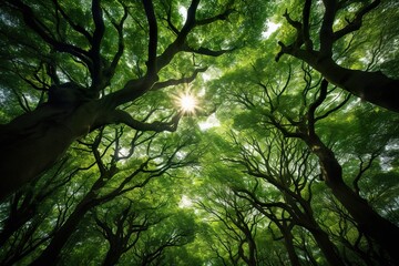 Fototapeta premium Enchanted Forest: Lush Green Paradis