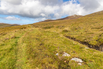 Granuaile Loop Walk Trail cover by flowers and vegetation