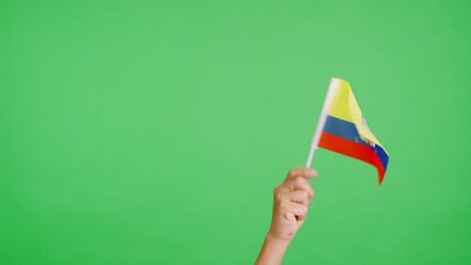 Hand waving a pennant of a ecuadorian national flag - Powered by Adobe