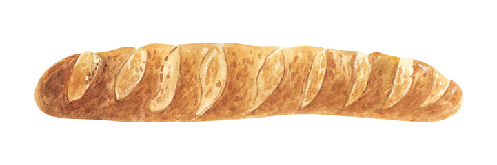 baguette in watercolor style illustration. Hand drawn isolated on white background.