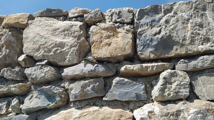 Green lizard climbing the stone wall