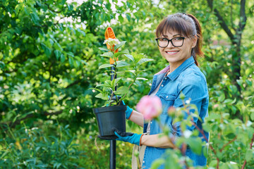 Smiling woman with hydrangea in pot looking at camera at backyard garden