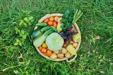 Close up top view of basket with different summer vegetables