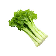 Fresh celery isolated on transparent and white background