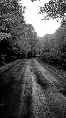 Grayscale of a countryside road