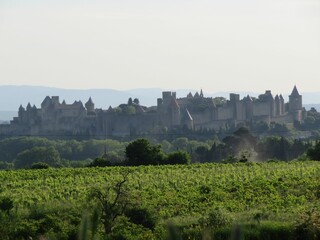 Fototapeta na wymiar Gorgeous view of the Chateau Comtal castle in Carcassonne, France with a beautiful green countryside
