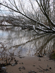 Mit Schnee bedeckte Bäume neigen sich über eine spiegelnde Wasserfläche im Winter