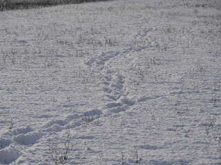Spuren eines Spaziergängers im Schnee im Winter