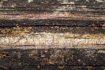 Wood background with worn weathered texture.