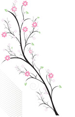 Fruit blossoming cherry tree, spring background. Illustration of spring blooming branch with pink flowers with leaves, vector illustration